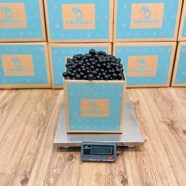 Jaboticaba aka Brazilian Grapes Grapes Tropical Fruit Box